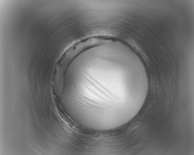 X0000053160434200508081441