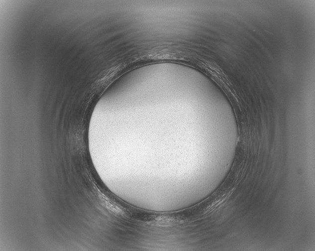 X0000053160441200508081441