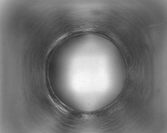 X0000053160442200508081441