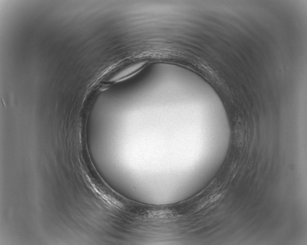 X0000053160446200508081441