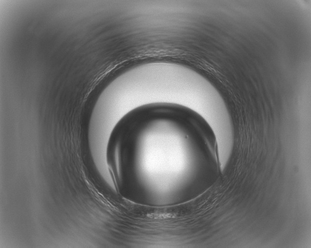 X0000053160448200508081441