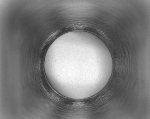 X0000053160451200508081441