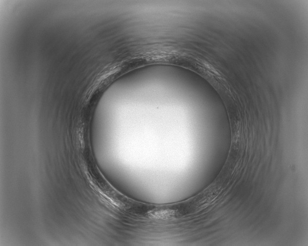 X0000053160452200508081441