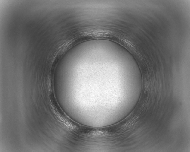 X0000053160453200508081441