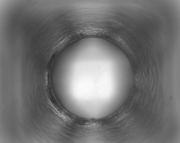 X0000053160454200508081441