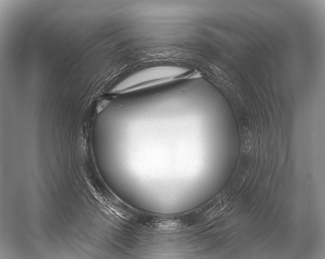 X0000053160456200508081441