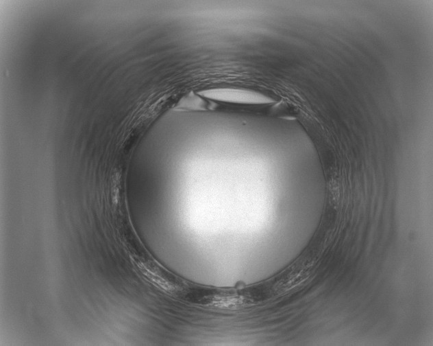X0000053160458200508081441