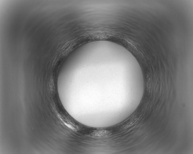 X0000053160459200508081441