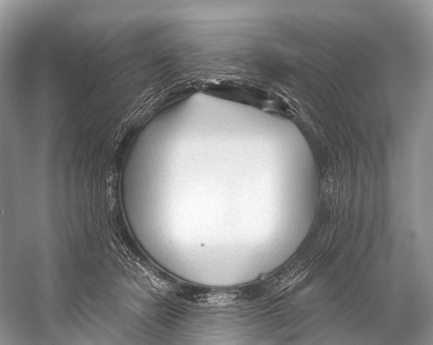 X0000053160462200508081441