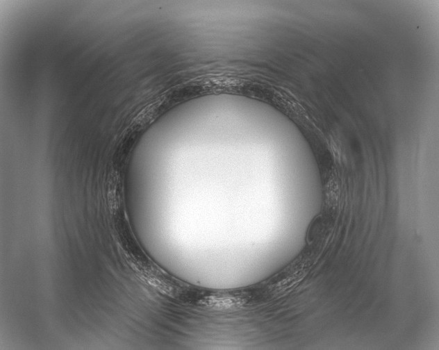 X0000053160464200508081441