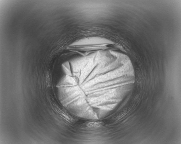 X0000053160465200508081441