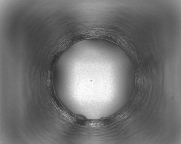 X0000053160466200508081441