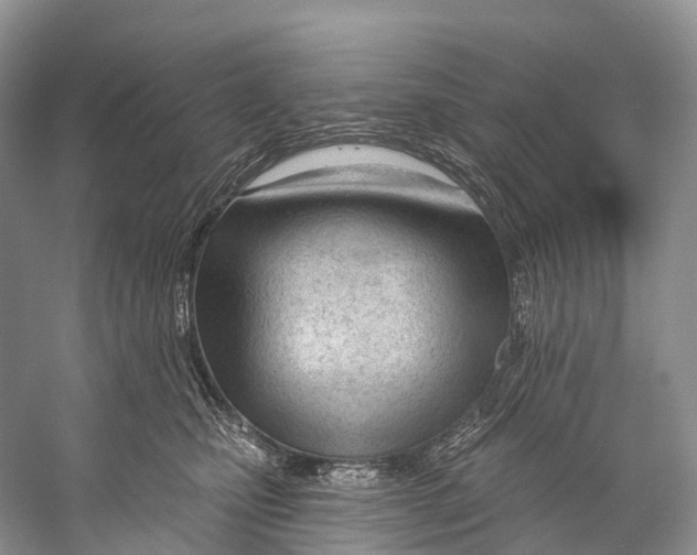 X0000053160471200508081441