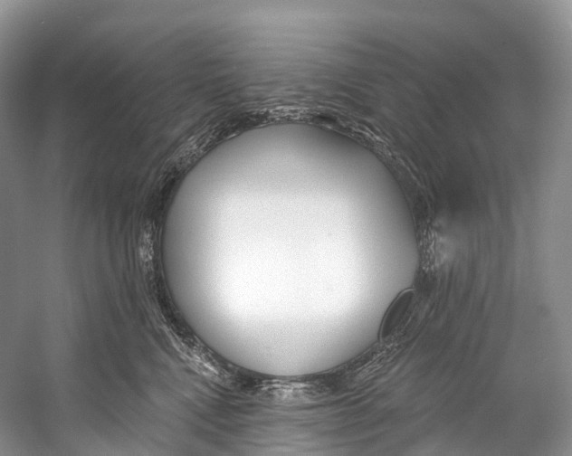 X0000053160472200508081441