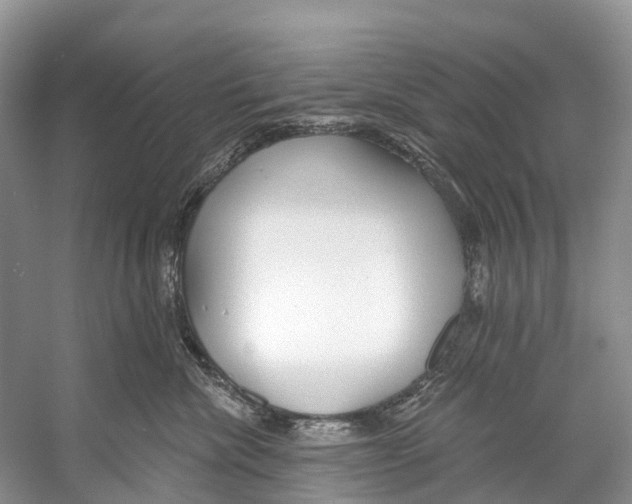 X0000053160476200508081441