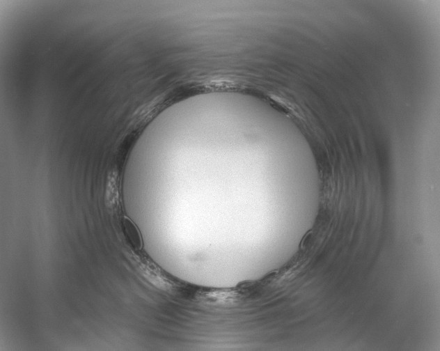 X0000053160478200508081441