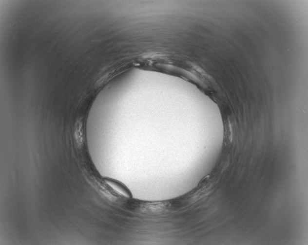 X0000053160479200508081441