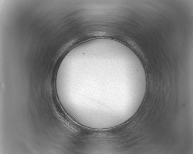 X0000053160482200508081441