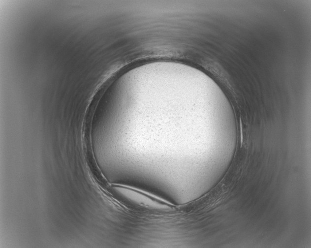 X0000053160483200508081441