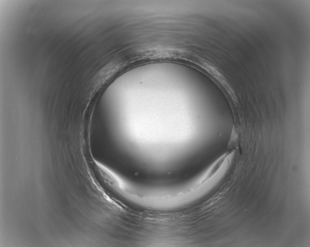 X0000053160485200508081441