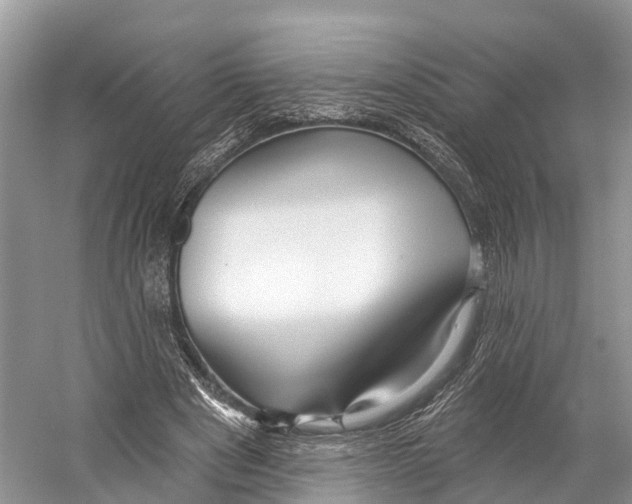 X0000053160489200508081441