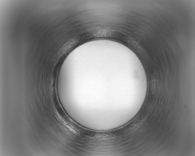 X0000053160490200508081440