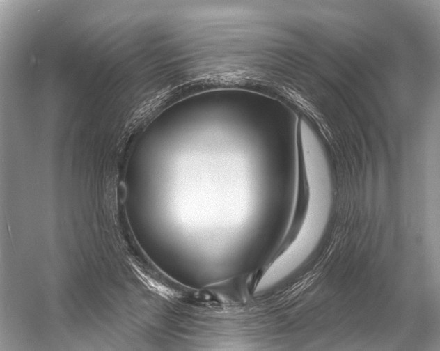 X0000053160493200508081440