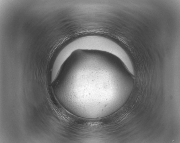 X0000053160495200508081440
