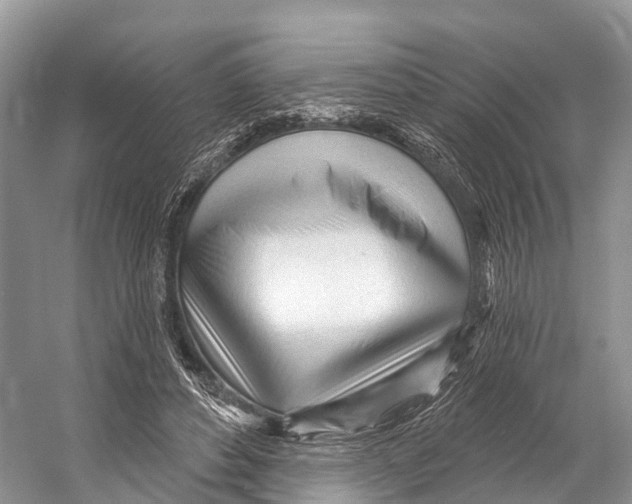 X0000053160496200508081440