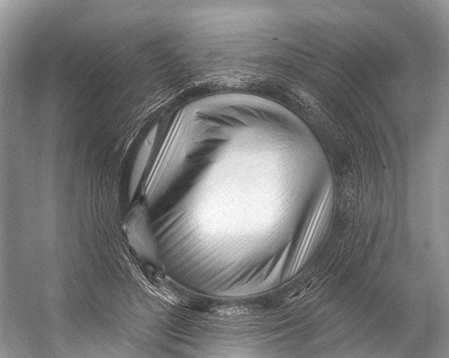 X0000053160500200508081440