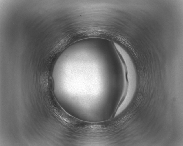 X0000053160501200508081440