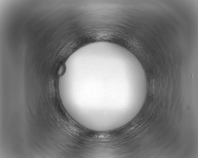 X0000053160506200508081440