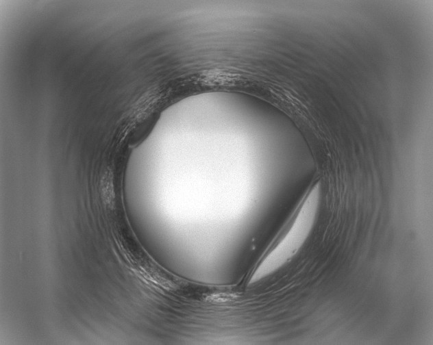 X0000053160508200508081440