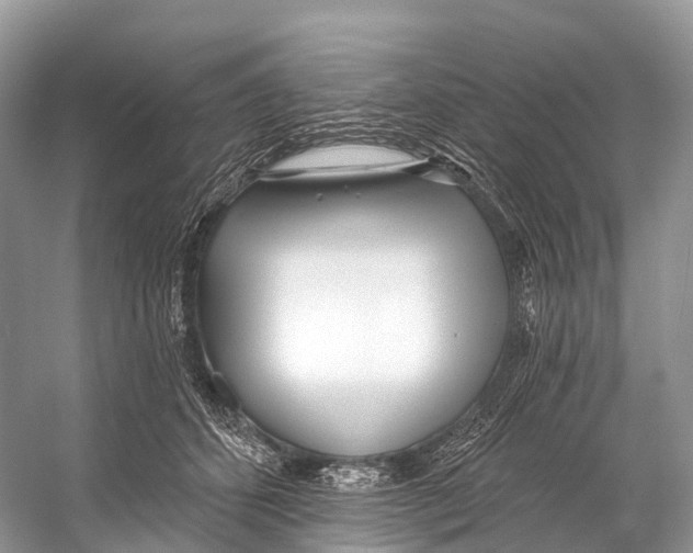 X0000053160512200508081440