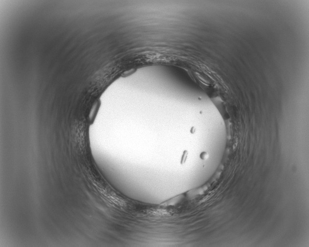 X0000053160513200508081440