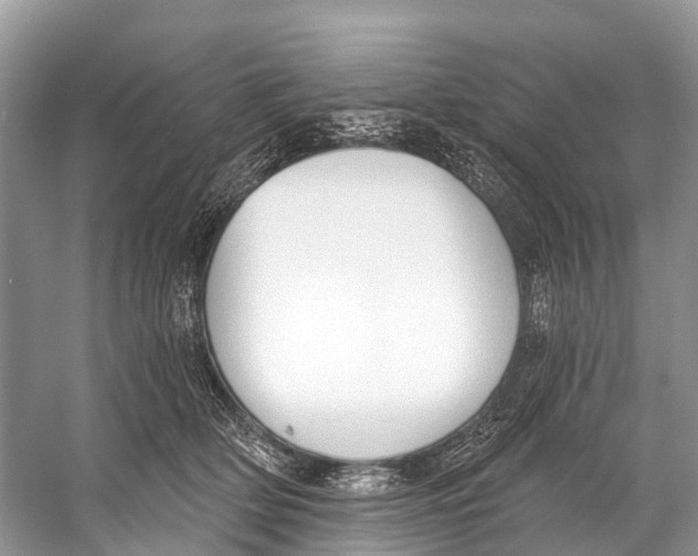 X0000053160514200508081440