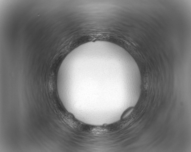 X0000053160515200508081440