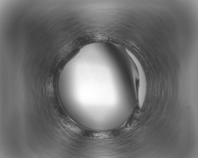 X0000053160516200508081440