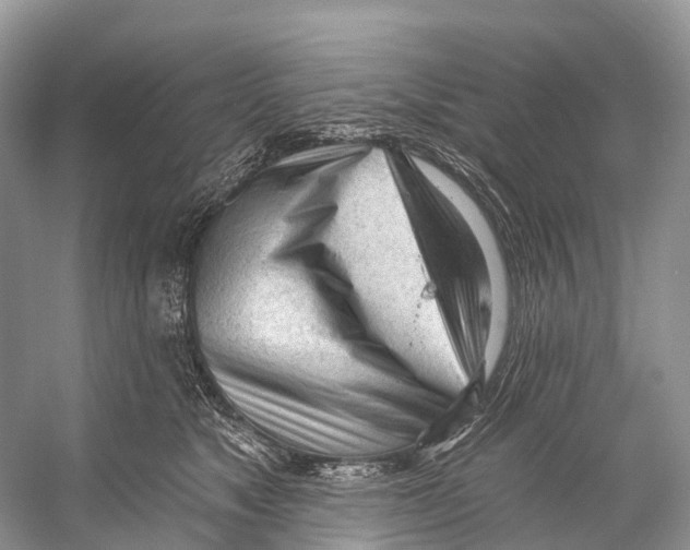 X0000053160517200508081440
