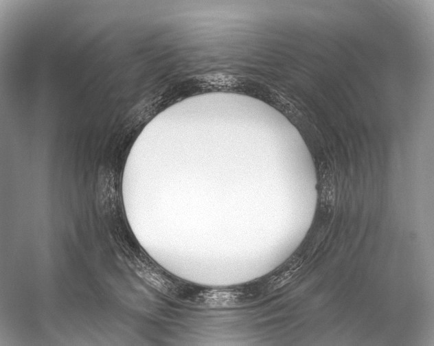 X0000053160518200508081440