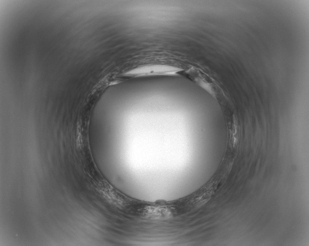 X0000053160520200508081440