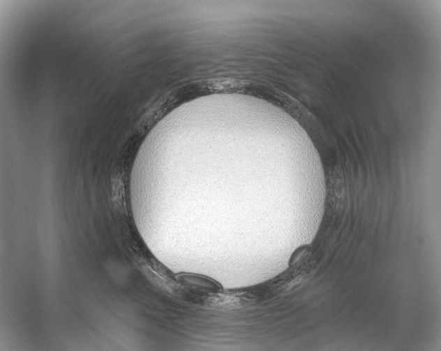 X0000053160523200508081440