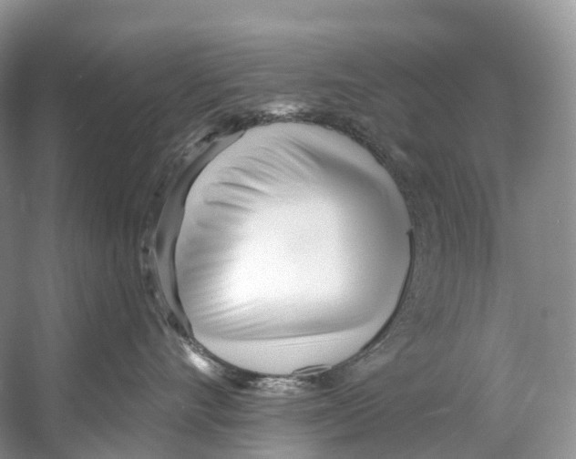 X0000053160528200508081440