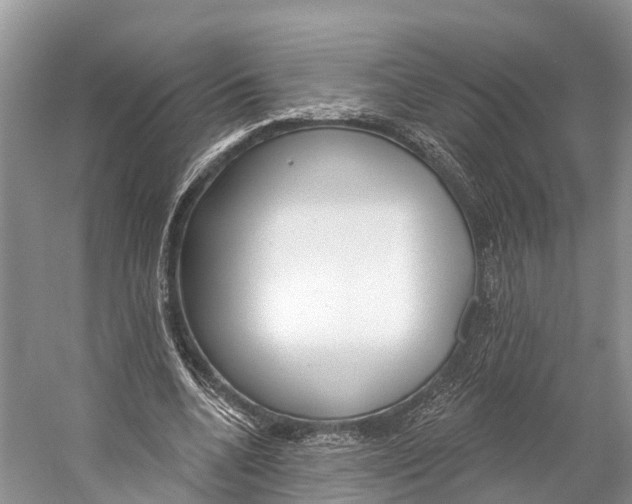 X0000053160536200508081439