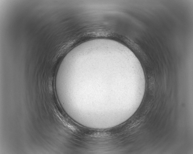 X0000053160537200508081439