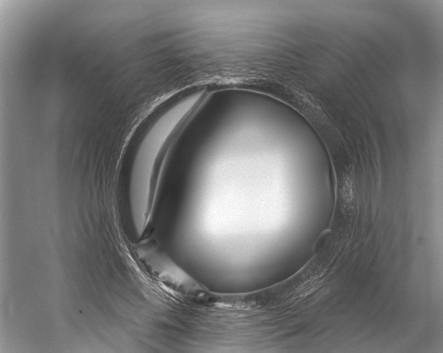 X0000053160540200508081439