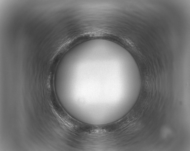 X0000053160543200508081439