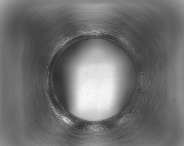 X0000053160544200508081439