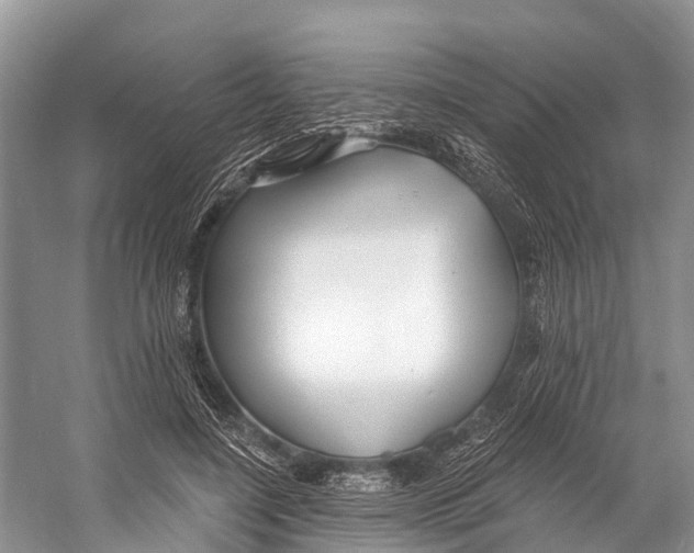 X0000053160548200508081439