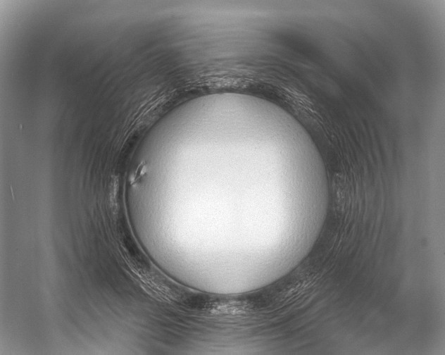 X0000053160550200508081439
